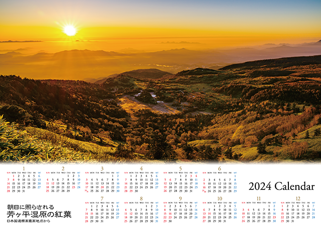 2024大判カレンダー　朝日に照らされる芳ヶ平湿原の紅葉